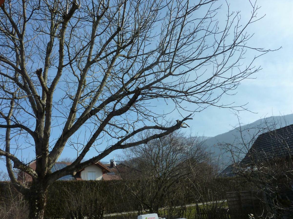 Studio 30 M2 Jardinet 10Minutes Annecy Villa Naves-Parmelan Eksteriør billede